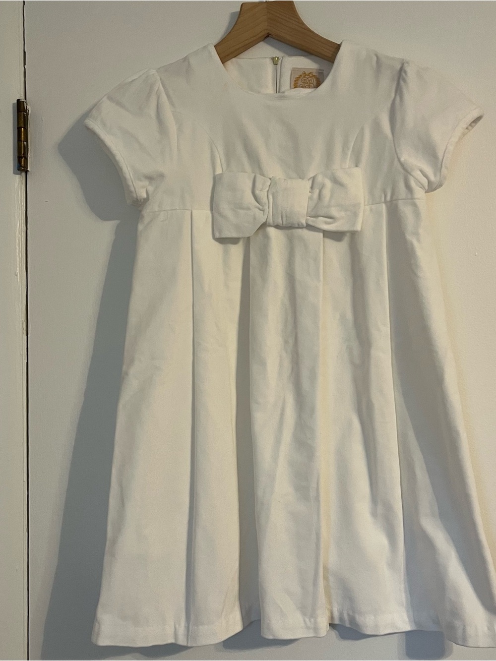 The Beaufort Bonnet Company Darcy Dress in Palmetto Pearl Velveteen size 14